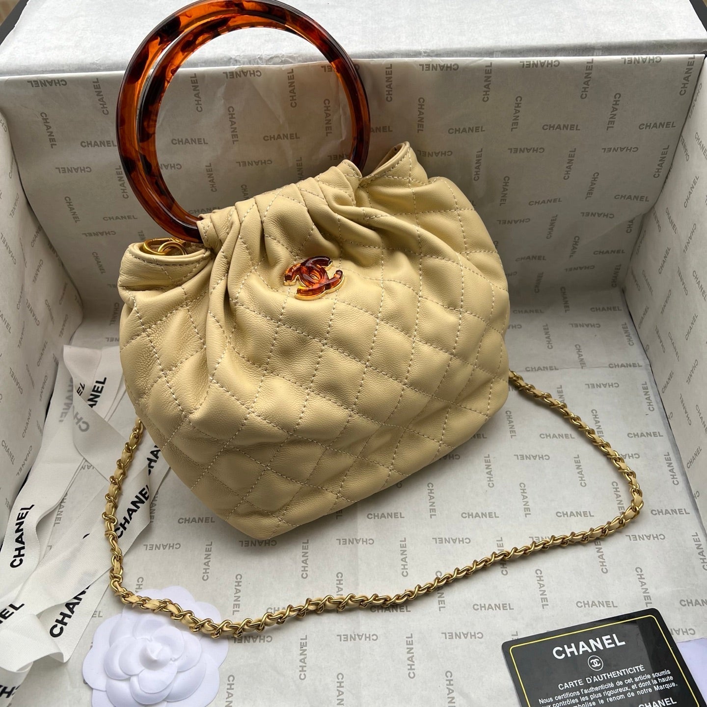 Chanel 2026 Tortoiseshell Handle Mini Bag 25cm Beige Lambskin